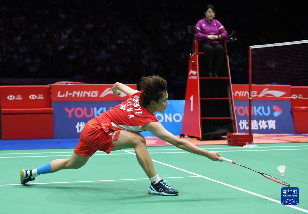 在这场广厦 在这场广厦